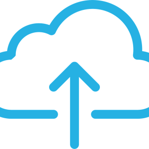 Product Custom Field Upload